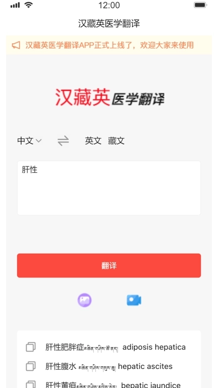 汉藏英医学翻译