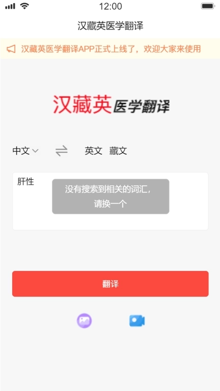 汉藏英医学翻译