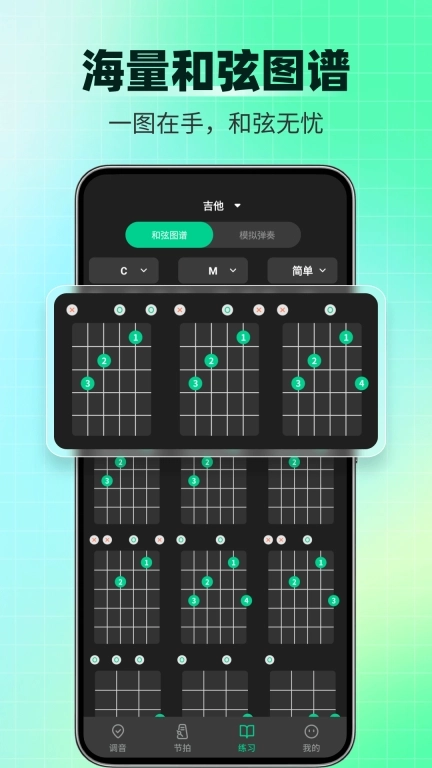 调音器Tuner-多功能乐器调音器