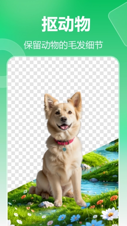 薄荷抠图换背景-一键抠图换背景