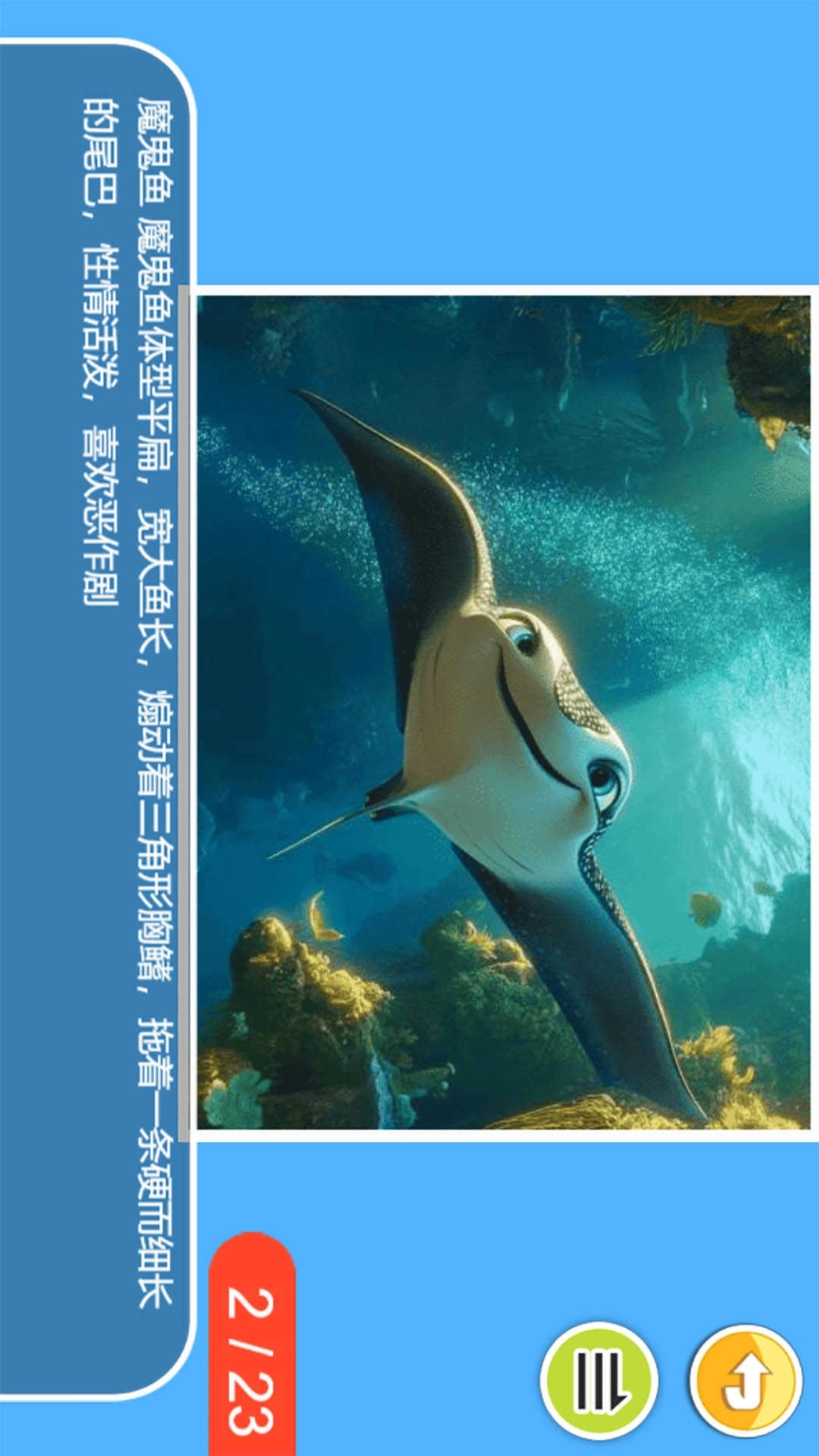 儿童宝宝海洋世界