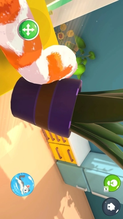 疯狂小老弟-我是猫全新版