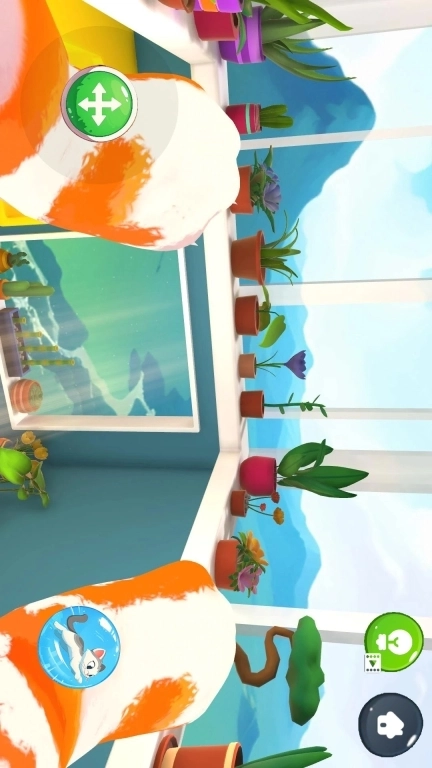 疯狂小老弟-我是猫全新版