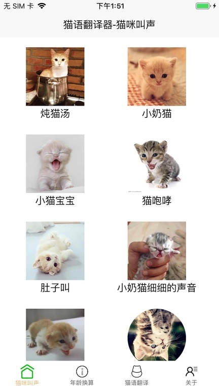 猫语言翻译器-猫语翻译机