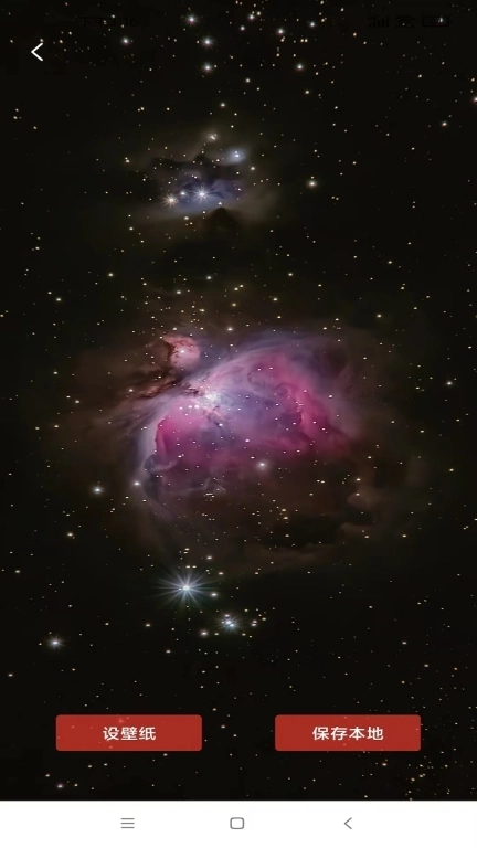 好看竖屏-精选高清手机壁纸