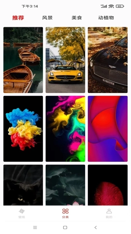 好看竖屏-精选高清手机壁纸