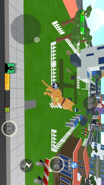 成为一只猫-猫猫城市冒险记