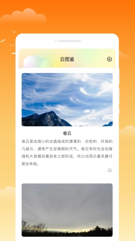 金麦天气-实时预报