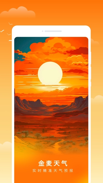 金麦天气-实时预报
