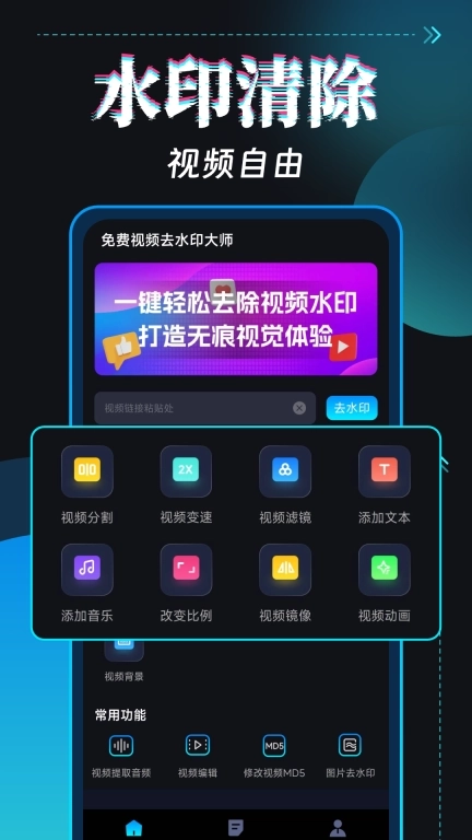 免费视频去水印大师