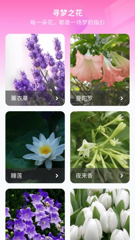 花海寻梦-花卉知识工具