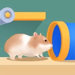 老鼠快跑-脑洞解密逃脱