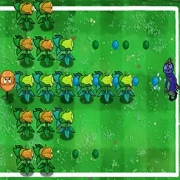 大战杂交植物王-杂交玉米大战僵尸