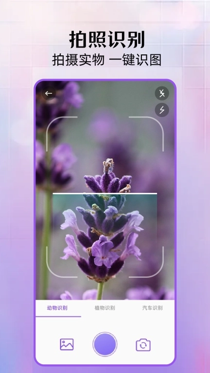 花间空间-拍照识物