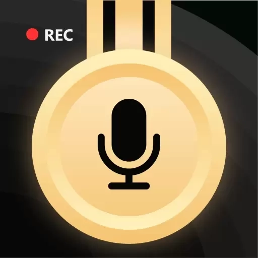 金牌录音-录音机录音修改