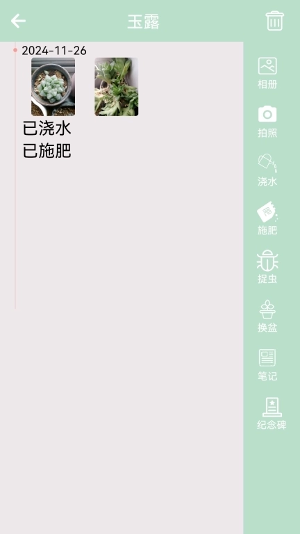 多肉花草成长日记-养花养草养多肉