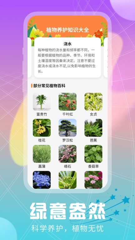 智趣生活大字版