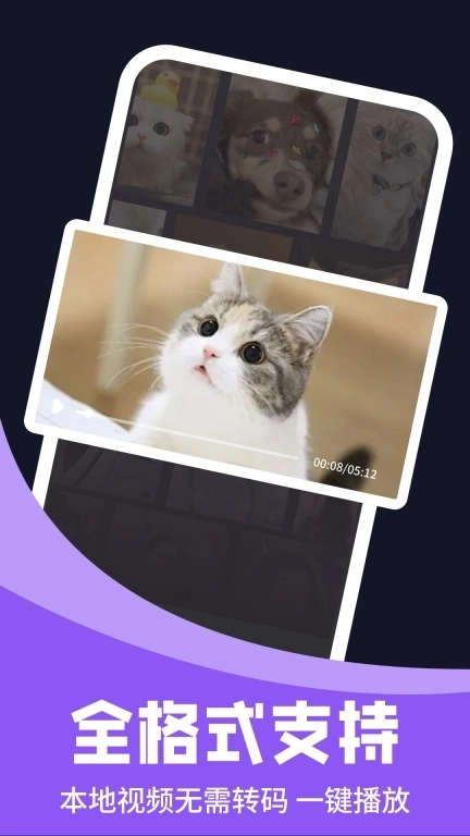 无痕私密播放器