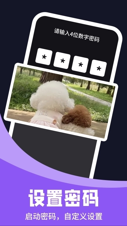 无痕私密播放器