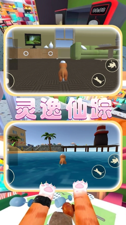 猫猫奇妙冒险-如果我是猫