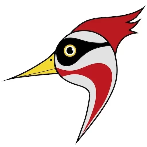 啄医生-智能健康助手