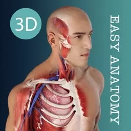 Easy解剖-3D人体解剖学习平台
