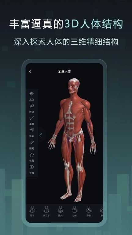 Easy解剖-3D人体解剖学习平台