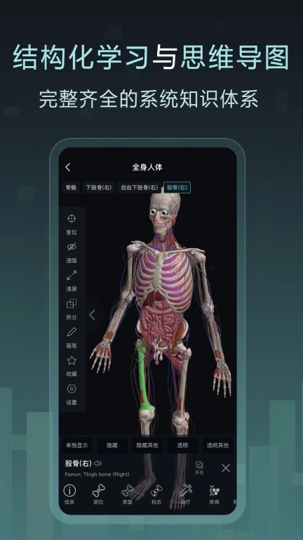 Easy解剖-3D人体解剖学习平台