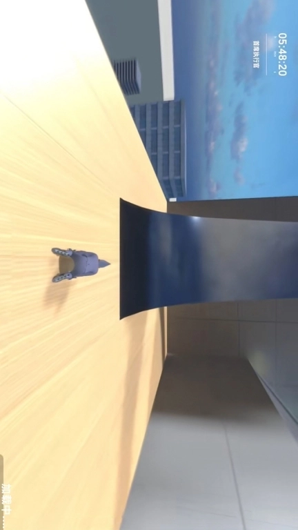 我轮滑贼溜-我是一辆人