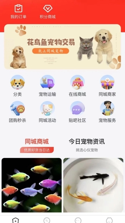 同城宠物-身边的宠物市场