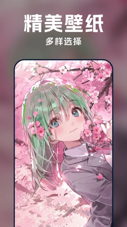 每日动态主题壁纸