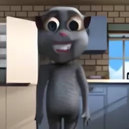 会说话的小猫咪