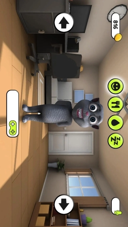 会说话的小猫咪