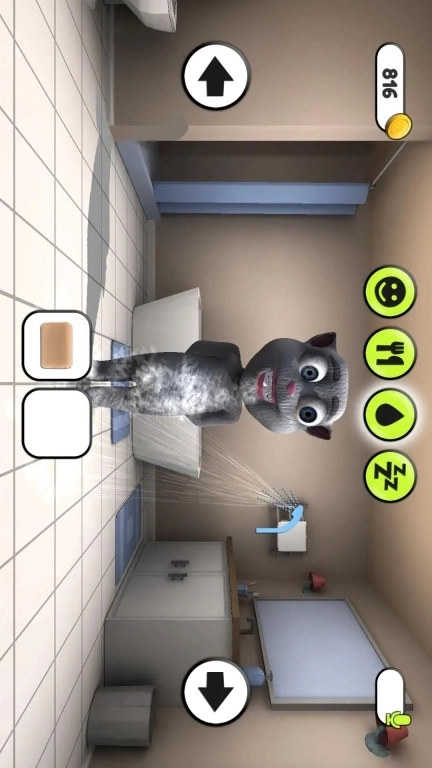 会说话的小猫咪