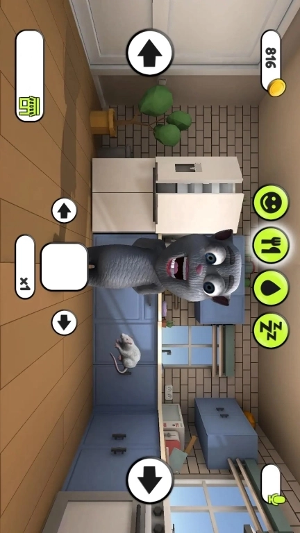 会说话的小猫咪