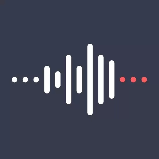 录音器专家录音机