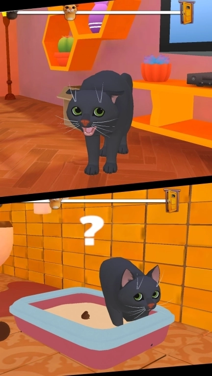 救救小可爱-猫和奶奶