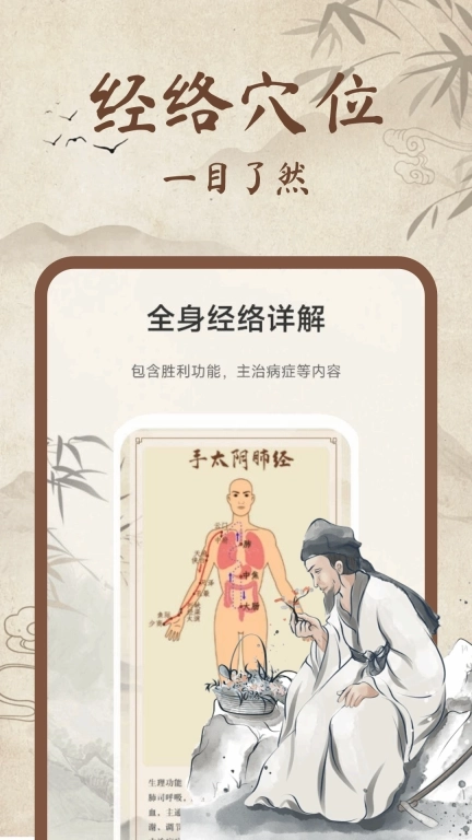 中医经络穴位图解