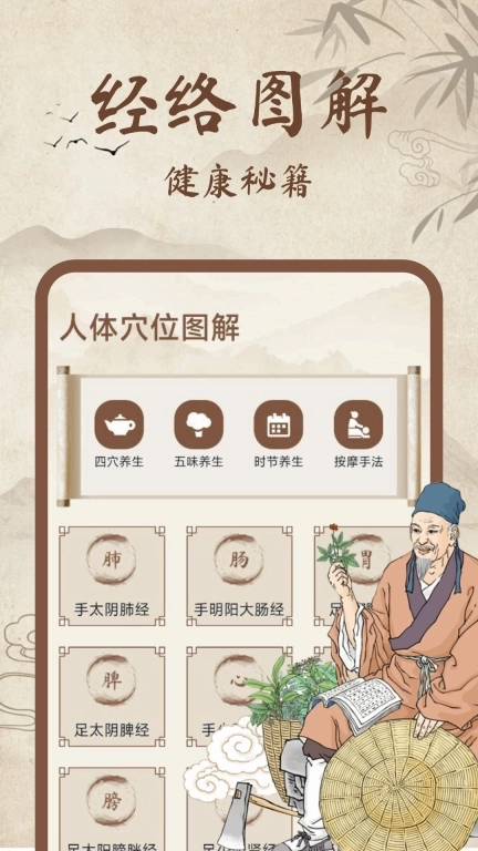 中医经络穴位图解