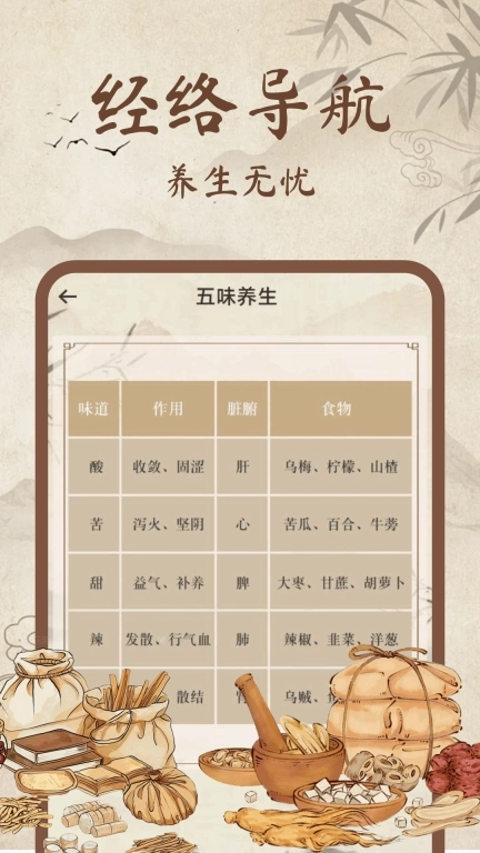 中医经络穴位图解