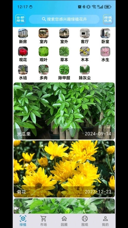 绿植花卉