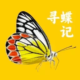 寻蝶记-手边的蝴蝶图鉴百科