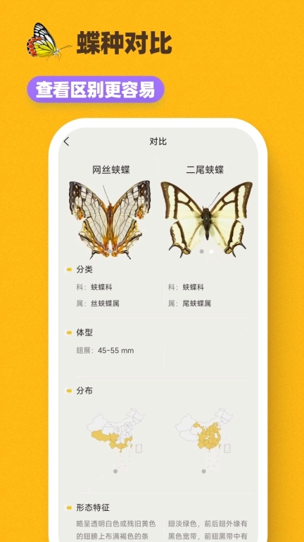 寻蝶记-手边的蝴蝶图鉴百科