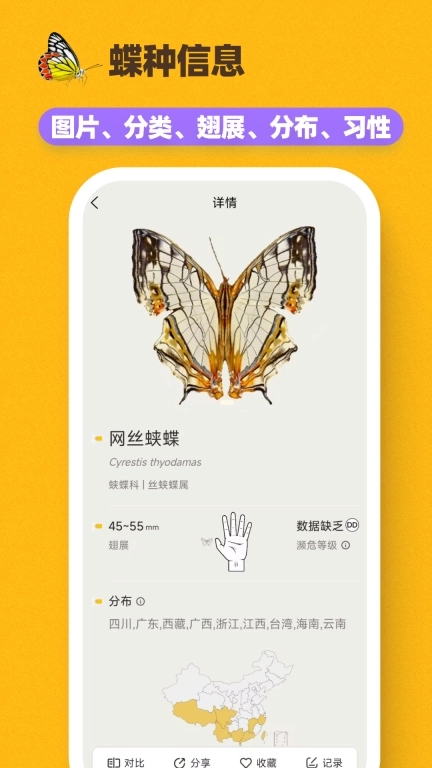 寻蝶记-手边的蝴蝶图鉴百科
