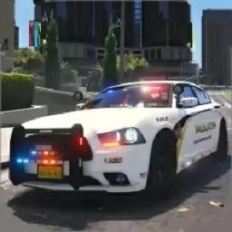 警车极限狂飙-真实警车模拟器