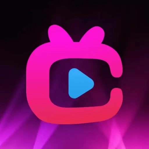 极速隐私播放器