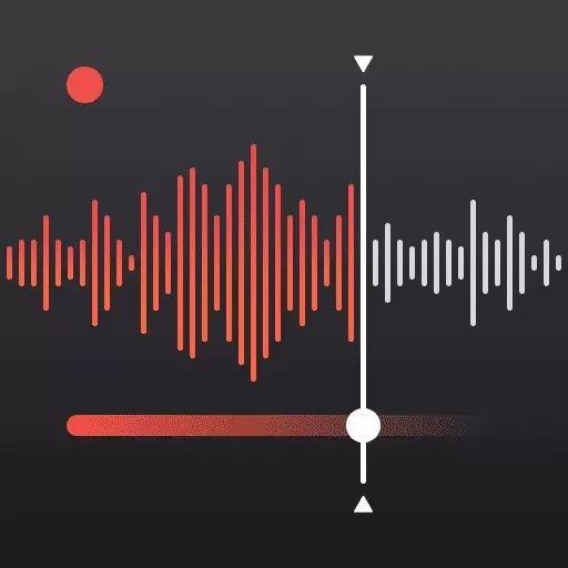 录音大师助手-录音转文字