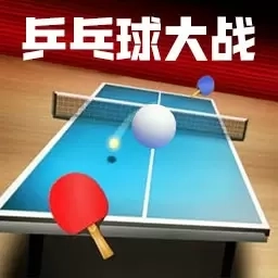 乒乓球双人竞技赛