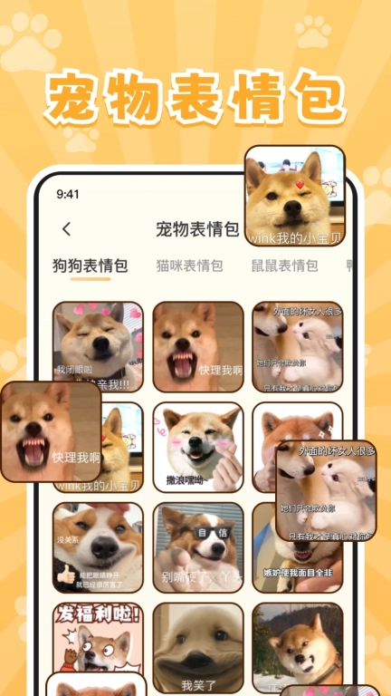 实时宠物翻译器-宠物语言交流