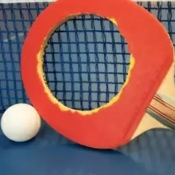 乒乓球最强王者-绝望乒乓球拍